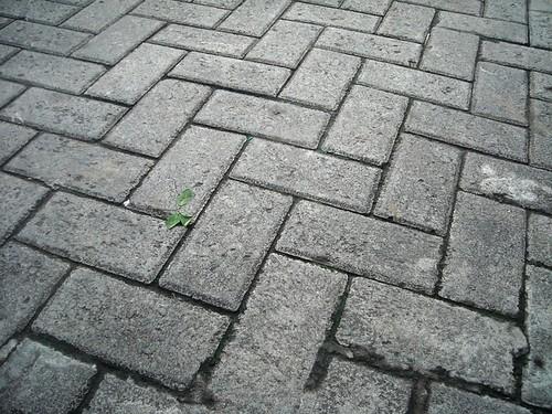A Guide to The Different Types of Block Paving Patterns A Guide to The Different Types of Block Paving Patterns