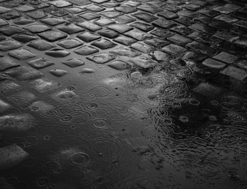 How to fix surface water damage & drainage issues