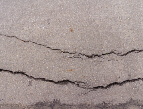 Weed growth in surface cracks